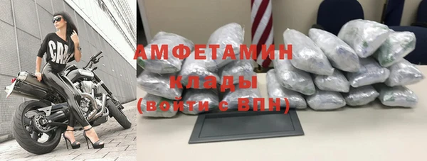 дмт Богданович