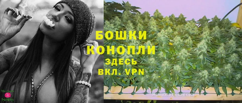 Бошки Шишки SATIVA & INDICA  где продают   Копейск 